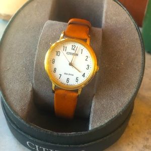 Citizen Evo Drive Chandler Ladies Watch